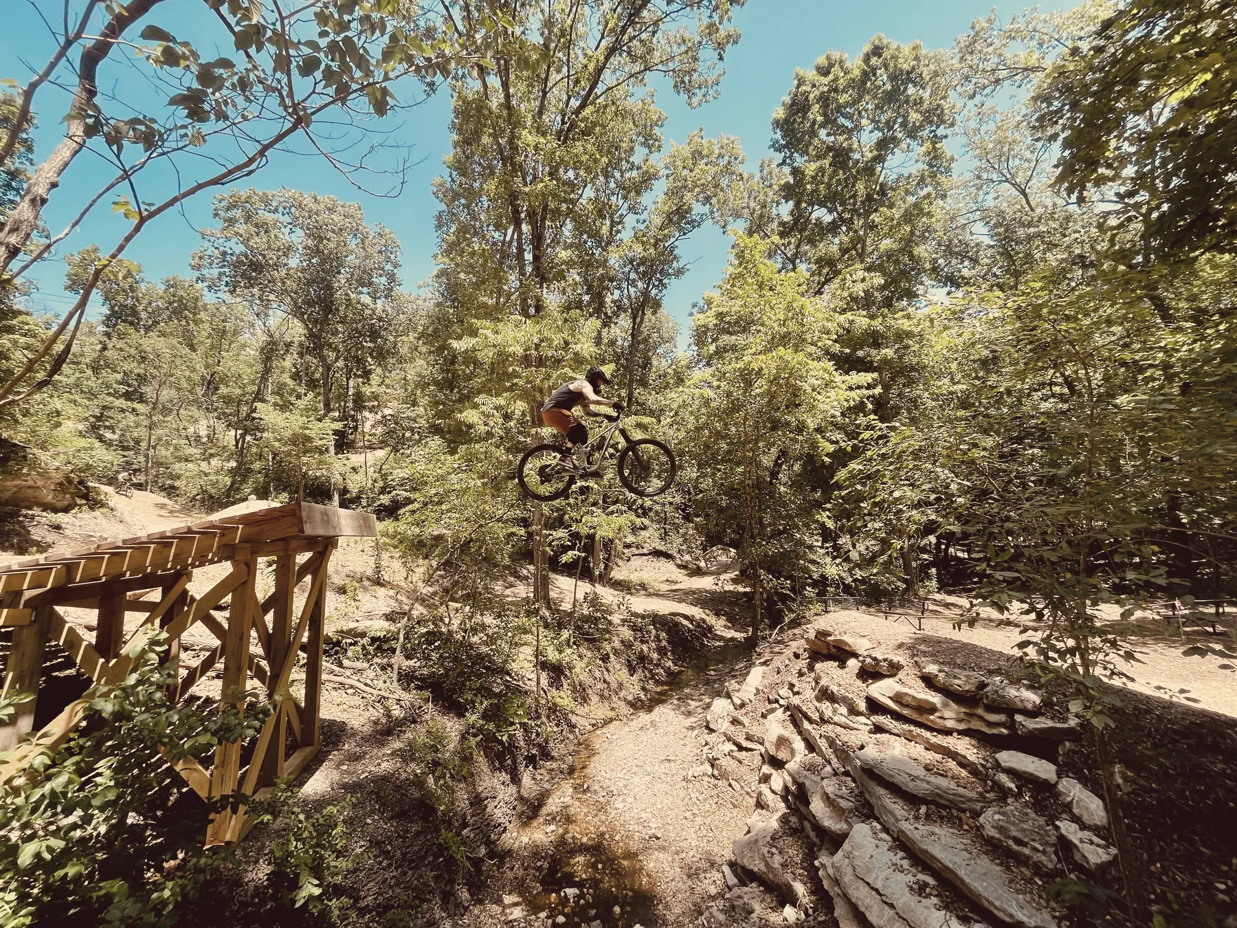 Mountain biking, a jump on a forest trail